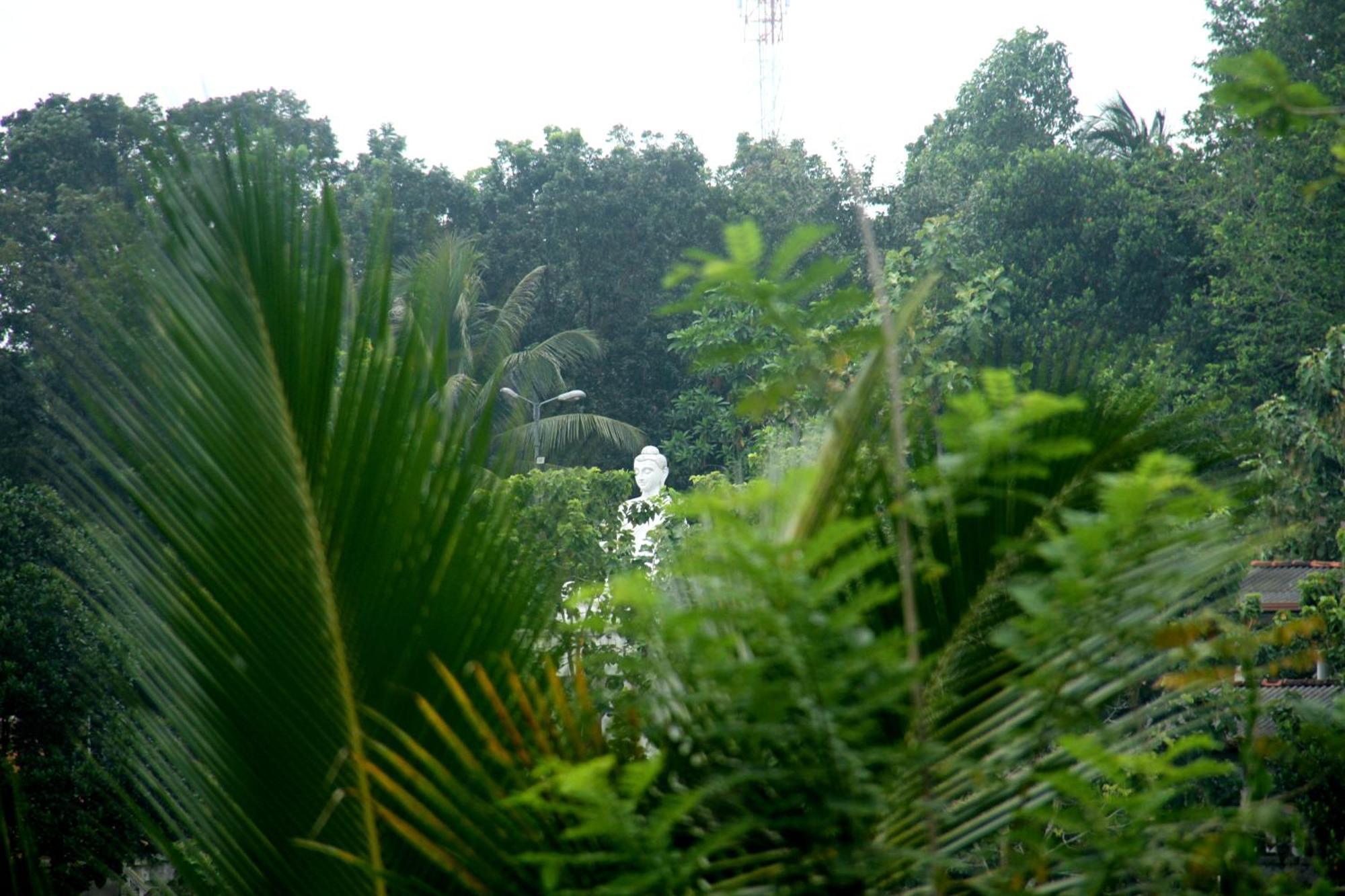 The Breeze Pinnawala Pinnawala  Ngoại thất bức ảnh