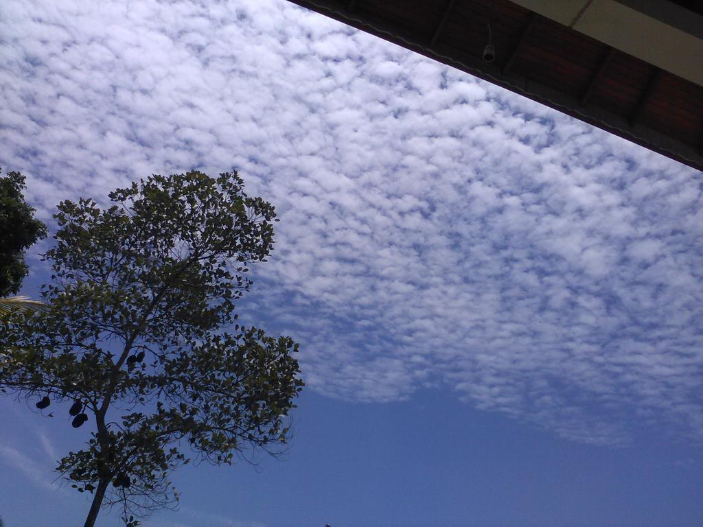The Breeze Pinnawala Pinnawala  Ngoại thất bức ảnh